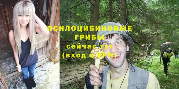 круглые Краснослободск