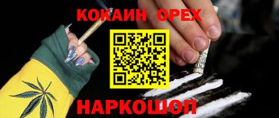 индика Гай