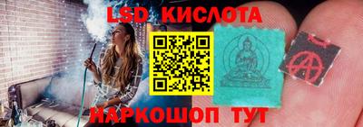 индика Гай