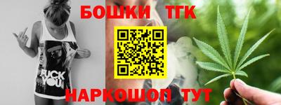 индика Гай